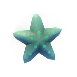 Sea Star