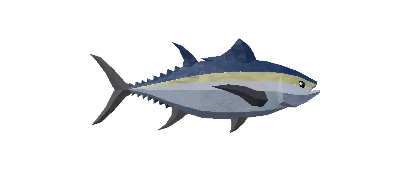 Blackfin Tuna