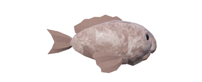 Blobfish