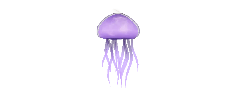 Jellyfish