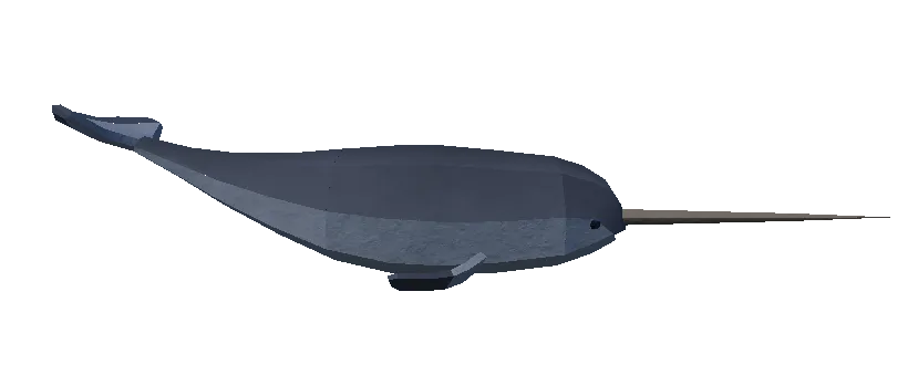 Narwhal