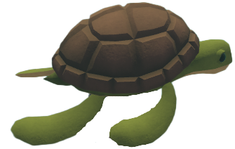Sea Turtle