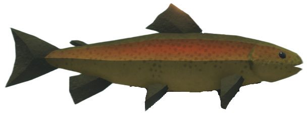 Trout
